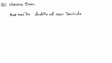 name-this-tissue-a-areolar-connective-tissue-b-nervous-tissue-c-smooth-muscle-d-connective-tissue-72803