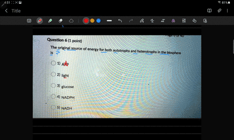 question-6-1-point-the-original-source-of-energy-for-both-_-autotrophs-and-heterotrophs-in-the-biosphere-o-1-atp-2-light-3-glucose-4-nadph-5-nadh-49538