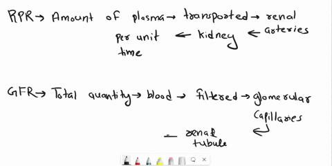 options-less-than-greater-than-equal-to-when-the-reabsorption-rate-of-a-substance-decreasesits-renal-plasma-rate-ischoose-your-answer-the-gfrconverselywhen-the-secretion-of-a-substance-decre-75262
