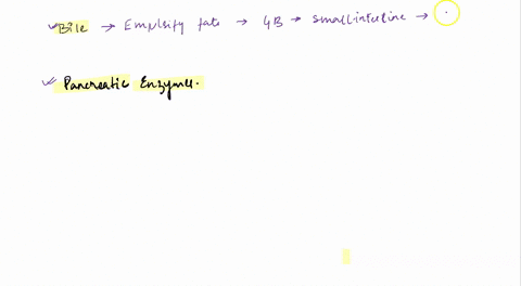 lab-workshect-table-sauce-dressing-results-suuce-xaiu-lxu-scnaulou-ulur-taccfn-ur-yetn-wuh-httulelg-eaur-mlald-mdletueectelt-aoteulutturd-bile-emulsifies-fats-brcaks-the-bonds-in-triglyccrid-87064