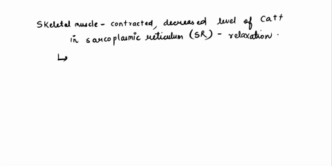 after-a-skeletal-muscle-has-contracted-what-most-directly-leads-to-its-relaxation-decreased-levels-of-ca-in-the-sarcoplasm-decreased-levels-of-ca-in-the-sarcoplasmic-reticulum-decreased-leve-16276
