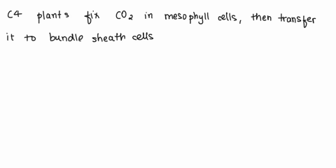 c4-plants-differ-from-c3-plants-in-that-c4-plants-open-their-stomata-only-at-night-are-better-adapted-to-wet-conditions-fixation-of-co2-and-calvin-cycle-occurs-in-two-different-types-of-cell-48442