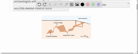 homo-naledi-is-a-newly-discovered-species-of-the-genus-homo-it-is-similar-to-homo-erectus-but-contains-unique-enough-characteristics-to-warrant-a-separate-species-this-hominin-was-first-disc-33715