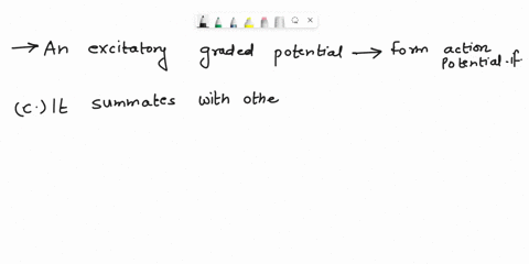 question-21-1-point-an-excitatory-graded-potential-can-form-an-action-potential-if-graded-potentials-can-never-end-up-forming-action-potentials-it-was-propagated-at-the-cell-body-instead-of-28774