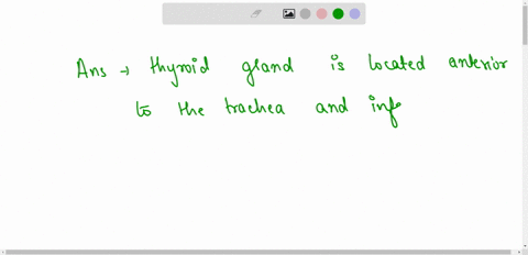 which-of-the-following-statements-about-the-thyroid-gland-is-true-a-it-is-located-anterior-to-the-trachea-and-inferior-to-the-larynx-b-the-parathyroid-glands-are-embedded-within-it-c-it-manu-38068