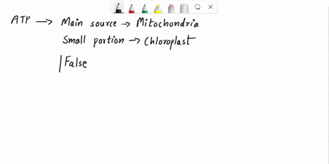 true-or-false-since-atp-is-generated-in-chloroplasts-cells-capable-of-undergoing-photosynthesis-do-2-71514