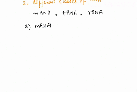 what-roles-do-sigma-factors-play-in-the-process-of-transcription-what-role-do-different-classes-of-rna-play-in-transcription-describe-one-type-of-rna-and-explain-its-role-how-is-the-process-45773