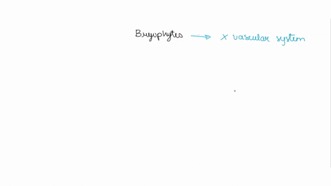the-bryophytes-a-include-mosses-liverworts-and-hornworts-b-include-whisk-ferns-horsetails-and-club-4-69334