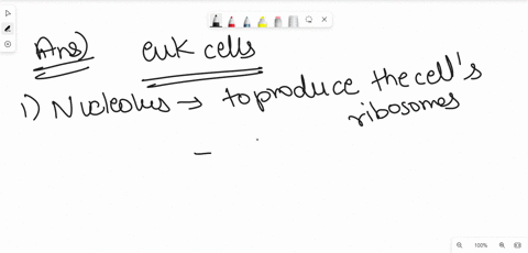 eukaryotic-cells-organelles-and-their-functions-indicate-the-function-of-each-of-the-organelles-the-list-below-orgunelle-function-nuch-leus-huses-mst-op-hhe-qenehcmaterial-nucleolus-chromati-50487