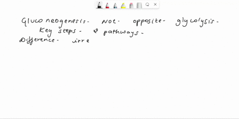 why-isnt-gluconeogenesis-the-exact-opposite-of-glycolysis-what-makes-the-two-pathways-different-why-are-each-of-these-differences-important-label-each-difference-with-a-b-c-etc-43466