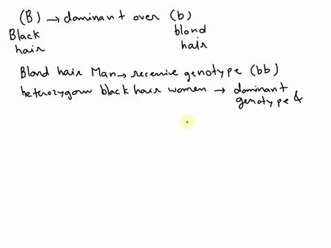 black-hair-allele-b-is-dominant-over-blond-hair-allele-b-make-a-punnett-square-between-a-blond-hair-man-and-a-heterozygote-black-hair-woman-and-determine-the-genotypes-and-phenotypes-of-the-80017