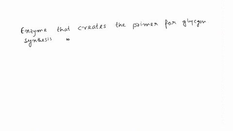 which-enzyme-creates-the-primer-for-glycogen-synthesis-glycogenin-hexokinase-glucose-6-phosphate-isomerase-glycogen-synthase-95104
