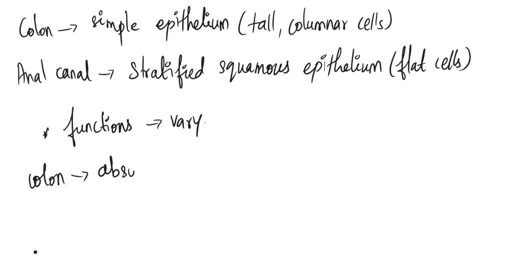 SOLVED: The following is a correct use of the colon. The role of women ...