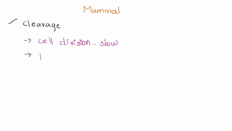 what-are-the-unique-differences-of-mammalian-development-cleavage-gastrulation-neurlation-in-comparison-to-other-vertebrates-amphibian-and-avian-18366