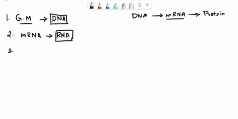 pick-the-type-of-molecule-that-best-matches-each-description-this-molecule-is-used-to-store-genetic-information-select-this-molecule-is-directly-used-as-the-instructions-to-make-protein-sele-90112
