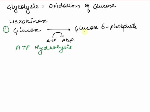 which-reactions-of-glycolysis-are-coupled-to-atp-hydrolysis-which-reactions-involve-substrate-level-phosphorylation-which-reactions-depend-on-either-fermentation-or-aerobic-respiration-to-co-41395