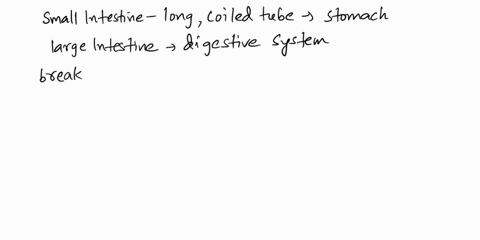 what-is-the-main-function-of-small-intestine-in-the-body-a-digestion-and-absorption-of-nutrients-b-defecation-c-ingestion-d-excretion-59282