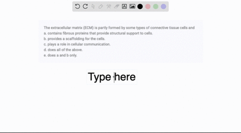 the-extracellular-matrix-ecm-is-partly-formed-by-some-types-of-connective-tissue-cells-and-a-contain-32267