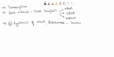 transcription-occurs-when-multiple-cholce-001425-ribosomal-rna-molecule-synthesized-from-dna-in-the-nucleus-transfer-rna-molecule-is-synthesized-from-dna-in-the-nucleus-messenger-rna-molecul-59814