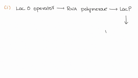 4a-the-diagram-below-represents-a-the-lac-operon-in-the-off-state-and-b-lac-operon-in-the-on-state_-assign-labels-to-letters-a-f-based-on-known-components-in-the-pathway-tthe-operon-iac-oper-02903