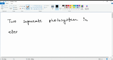 two-separate-photosystems-involved-in-electron-flow-is-a-hallmark-ofa-purple-bacteriab-oxygenic-phototrophsc-anoxygenic-phototrophsd-green-sulfur-bacteria-05313