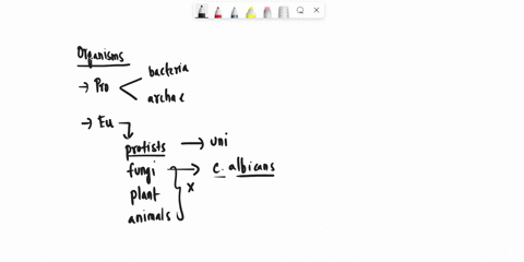 qucellan-chaptor-conncci-ucgrw-hmcenntct-0l-ficc-sued-help-sate-exit-quiz-0-drog-the-images-andlor-statements-to-helr-correspording-class-t0-test-your-understanding-of-the-main-types-of-micr-85857