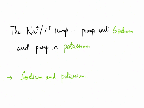 this-figure-depicts-nak-pump-it-creates-concentration-gradients-across-the-cell-membrane-by-pumping-out-and-pumping-in-outside-inside-sodium-krypton-potassium-sodium-sodium-ketone-potassium-92874