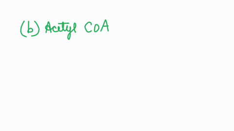 what-is-the-common-product-formed-during-metabolism-from-protein-amino-acids-lipidsfatty-acids-and-carbohydratesglucose-a-pyruvate-6-acetyl-coa-c-citrate-acetate-a-24557