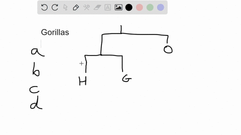 question-7-15-points-saved-referring-to-the-tree-below-which-is-an-accurate-statement-about-relationships-boette4-l-52-patiuiiin-4-onromar-eee-on-a-a-gorilla-is-more-closely-related-to-a-hum-31025