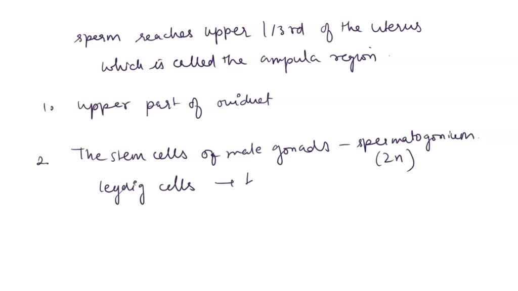 SOLVED: 12. Which statement regarding spermatogenesis and oogenesis is ...