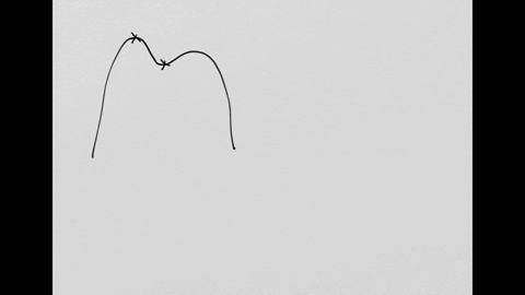 which-statement-most-accurately-describes-the-leading-coefficient-and-degree-of-the-polynomial-graph-shown-below-55073