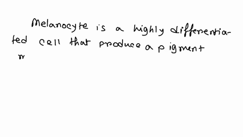 question-10-5-pts-which-of-the-following-statements-are-correct-with-regard-to-melanocytes-mclanocytes-are-derived-from-neural-crest-cells-that-take-upresidence-in-the-malpighian-layer-of-th-29512