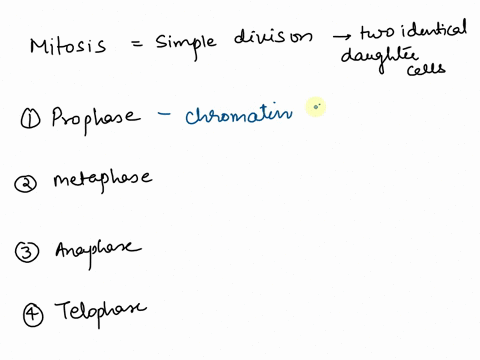 in-which-phase-of-mitosis-are-chromosomes-first-seen-as-a-result-of-chromatin-coiling-prophase-anaphase-metaphase-telophase-48427