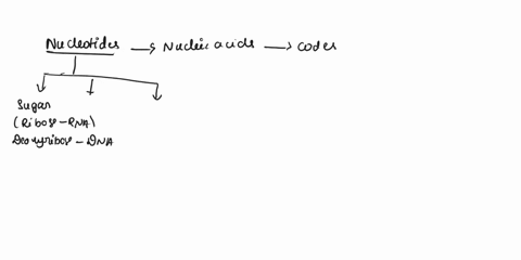 4-carbohydrates-have-chemical-bonds-that-are-a-good-source-of-energy-for-living-things-a-monosaccharide-is-a-carbohydrate-made-by-plants-when-energy-from-the-sun-combines-water-and-carbon-di-74636