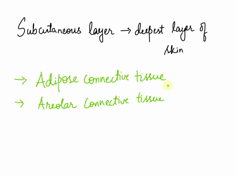 which-tissue-types-make-up-the-subcutaneous-layer-more-than-one-answer-may-apply-group-of-answer-choices-adipose-connective-tissue-areolar-connective-tissue-dense-irregular-connective-tissue-72927