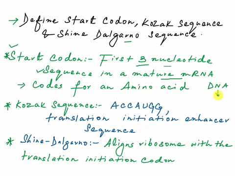 how-does-the-eukaryotic-initiation-complex-locate-the-correct-start-codon-the-correct-start-codon-is-embedded-in-the-kozak-sequence-it-is-the-first-atg-encountered-downstream-of-the-shine-da-32518