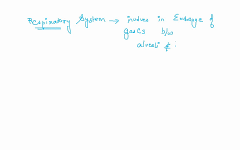 1-what-is-the-function-of-the-respiratory-system2what-are-3-components-of-the-respiratory-system-21086