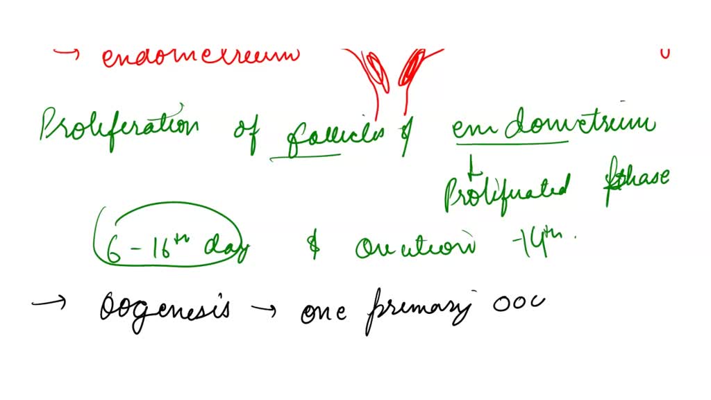 solved-what-happens-to-the-uterine-lining-between-day-27-and-day-1