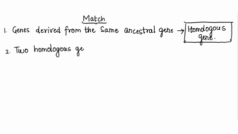 match-the-term-with-its-definition-1-genes-derived-from-the-same-ancestral-gene_-click-to-select-2-two-homologous-genes-found-in-different-species-click-to-select-3-two-or-more-homologous-ge-39982
