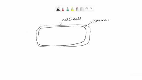 draw-and-label-a-diagram-of-prokaryotic-cell-and-discuss-its-breif-characterstics-15753