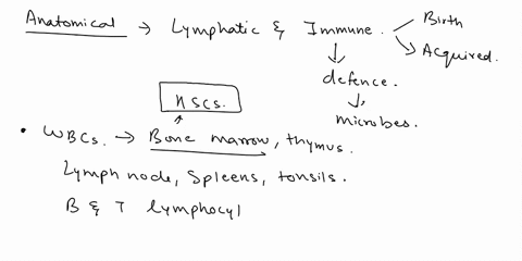 explain-the-anatomical-concepts-associated-with-the-lymphatic-and-immune-systems-summarize-this-modules-key-points-in-5-6-sentences-explain-the-physiological-concepts-associated-with-the-lym-58682