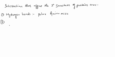 what-are-the-interactions-that-affect-the-tertiary-structure-of-the-protein-37477