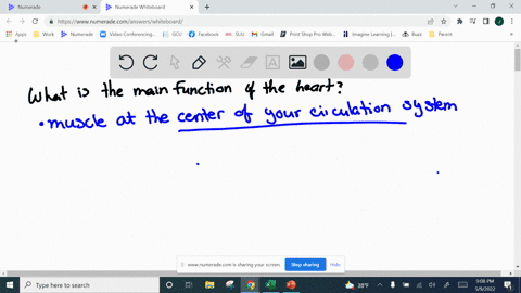 what-is-the-main-function-of-the-heart-87722