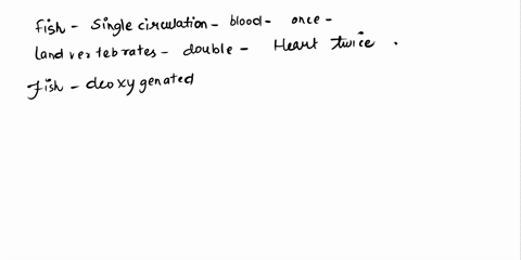 what-are-the-differences-between-single-circulation-of-blood-flow-in-a-fish-and-the-double-circulation-of-a-land-vertebrate-what-are-the-advantages-of-a-double-circulation-over-that-of-singl-99803