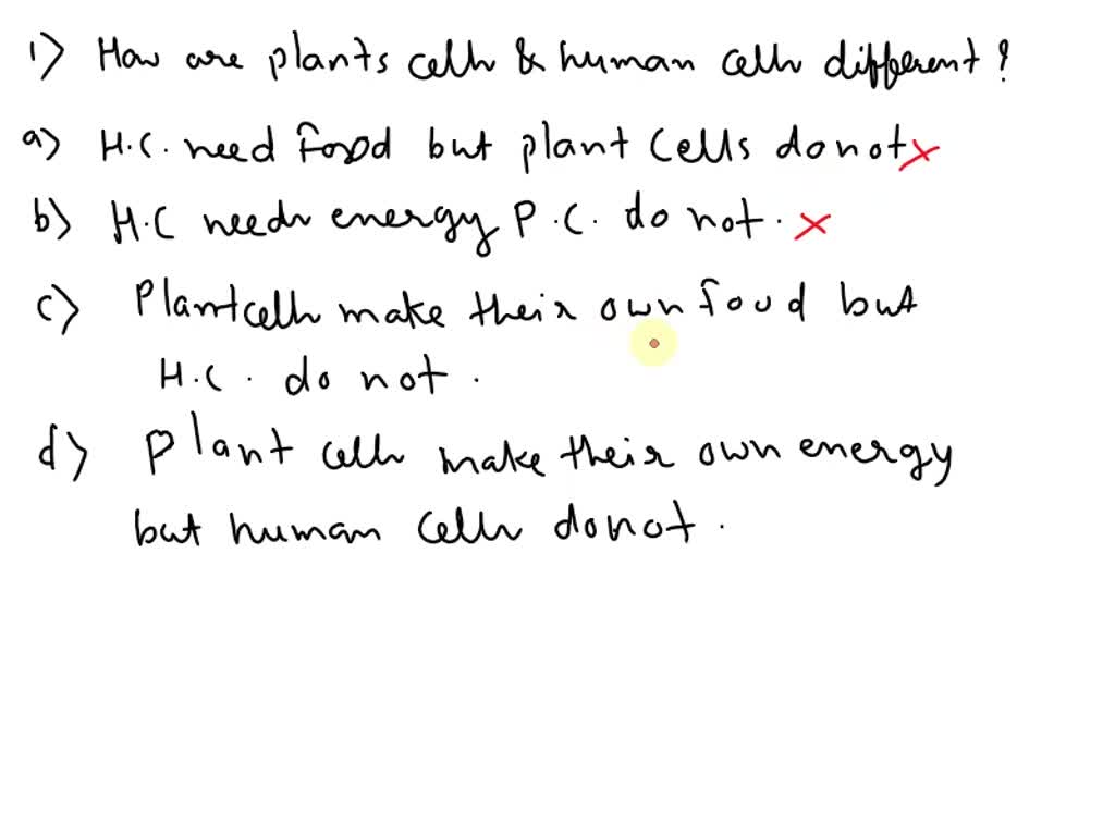what do human and plant cells have in common