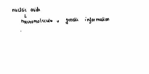what-are-nucleic-acids-how-do-dna-and-rna-differ-in-structure-56858