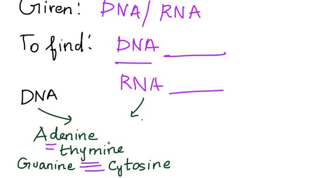 SOLVED: DNA contains the nitrogenous base in RNA instead of which is