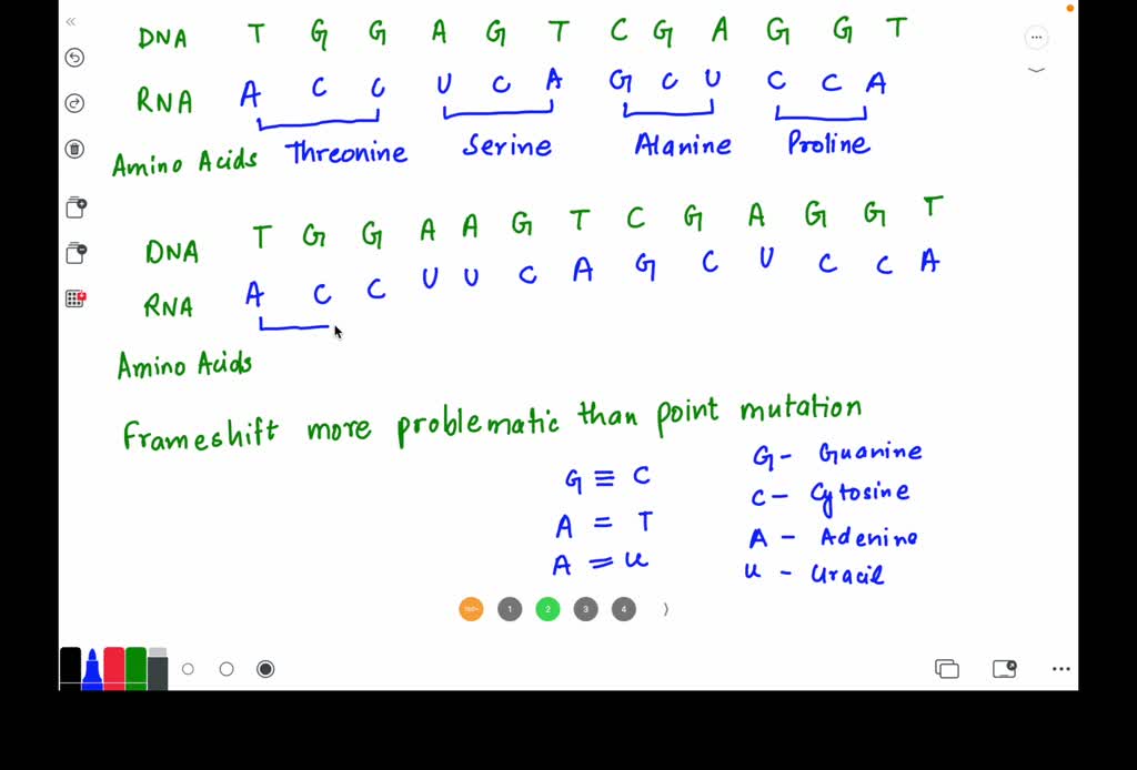 SOLVED A FRAMESHIFT MUTATION occurs when a base is added (or removed
