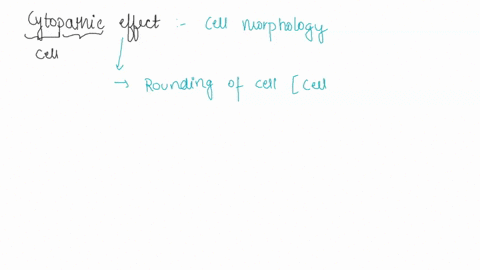 which-of-the-following-would-not-be-considered-a-cytopathic-effect-of-a-viral-infection-multinucleate-syncytium-of-cells-cell-shape-changes-oncogenesis-cell-inclusions-all-of-the-above-are-c-23184