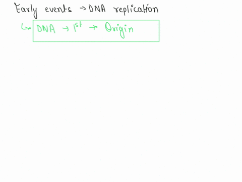question-7-which-of-the-following-statements-about-the-early-events-of-dna-replication-in-bacteria-is-true-a-the-origin-of-replication-is-a-protein-that-helps-initiate-strand-synthesis-by-dn-29065